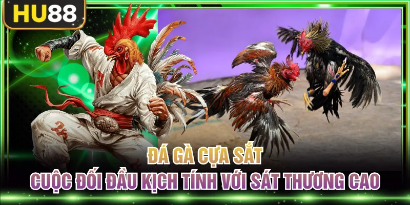 Đá gà cựa sắt