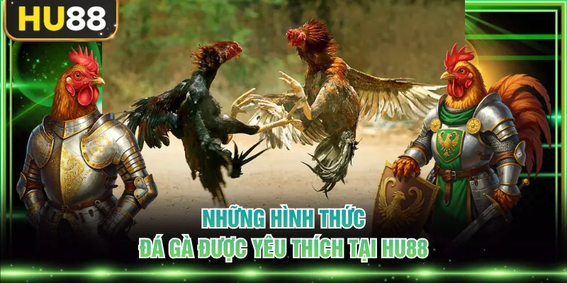 Những hình thức đá gà được yêu thích tại HU88